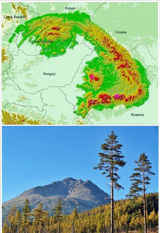 Карпати Карпати