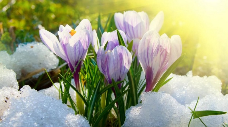 Погода Рівне погода Рівне