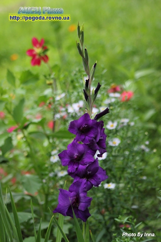 Іменини у листопаді Іменини у листопаді