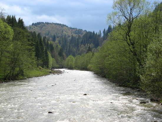 Річка Черемош Річка Черемош