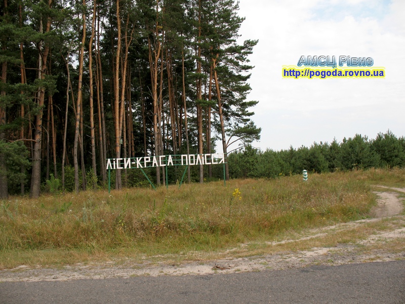 полісся