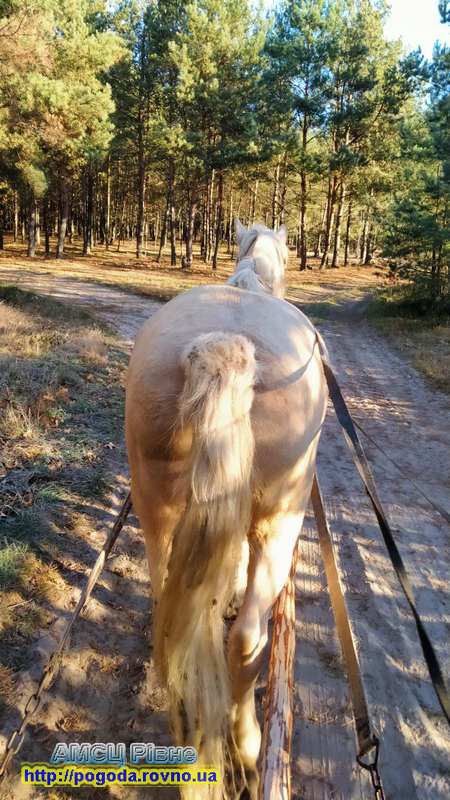 погода Рівне погода Рівне