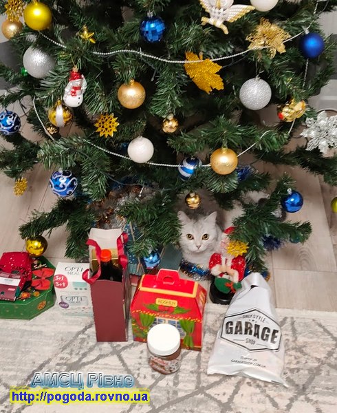 погода Рівне погода Рівне