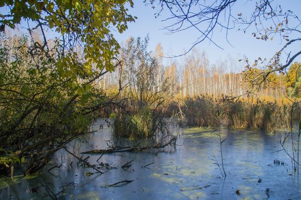 Чорне озеро на Кіровоградщині Чорне озеро на Кіровоградщині