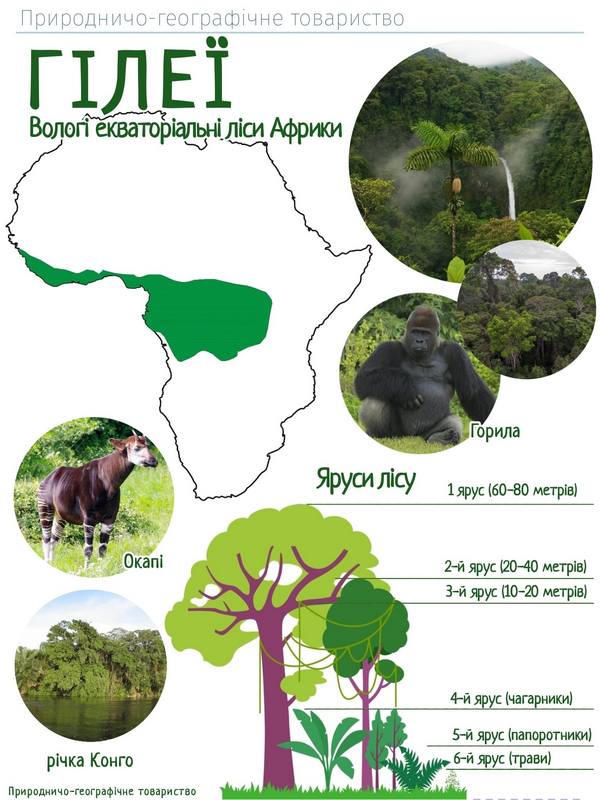 Гілеї Гілеї