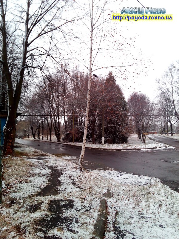 Грудень грудень