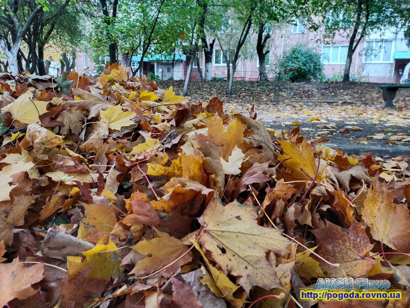 Погода Рівне Погода Рівне