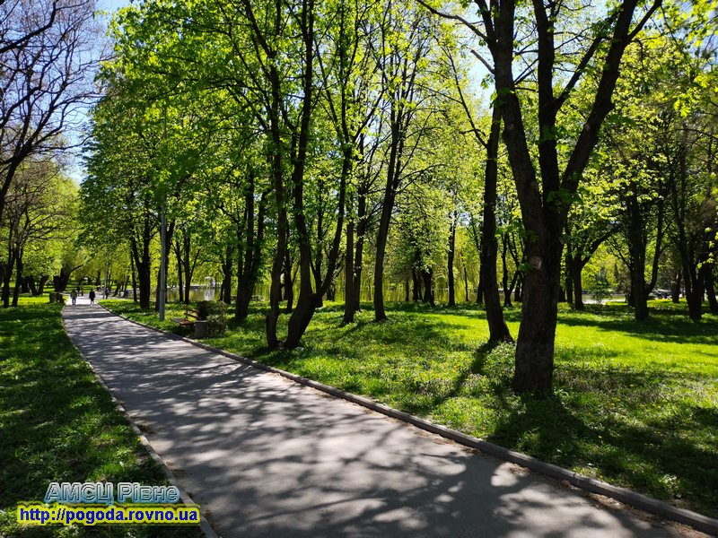 Лебединка Рівне Лебединка Рівне