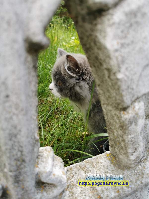 Рівненщина чарівна Рівненщина чарівна