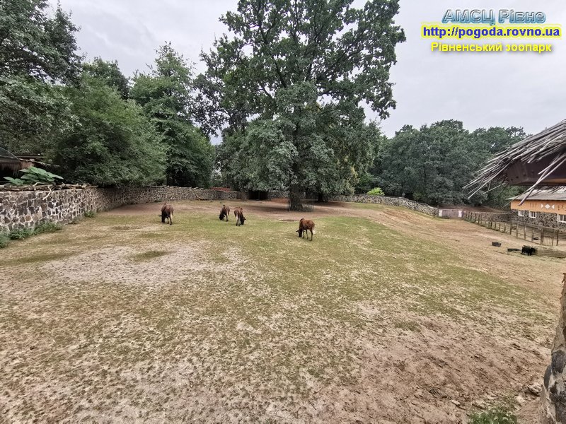 Рівненський зоопарк