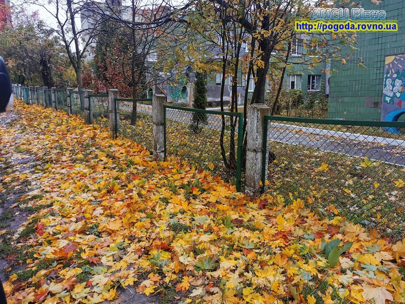 Осінь Осінь