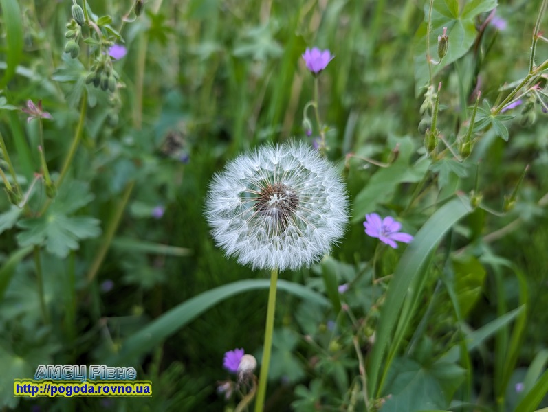 Погода у Рівному Погода у Рівному