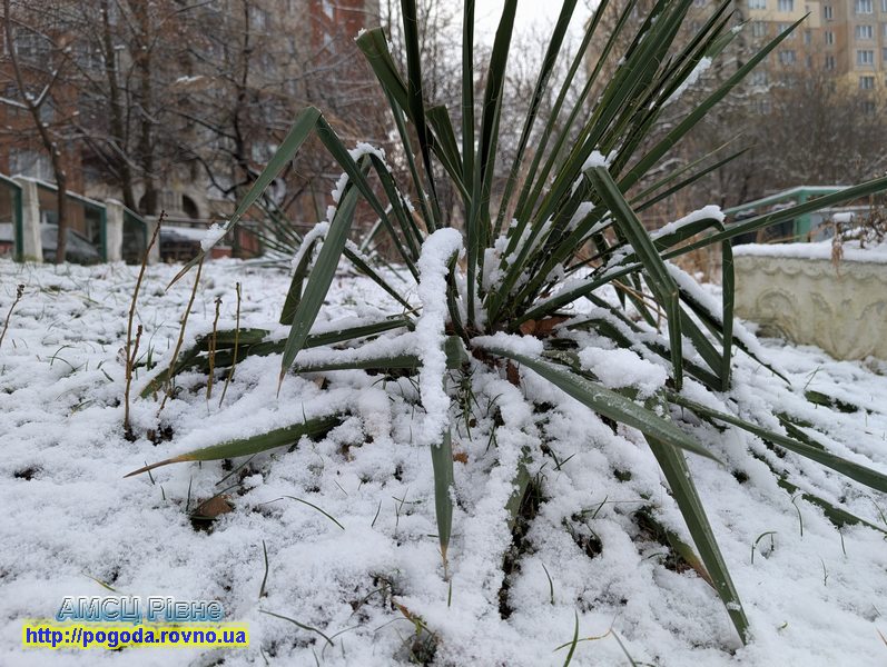 погода Рівне погода Рівне