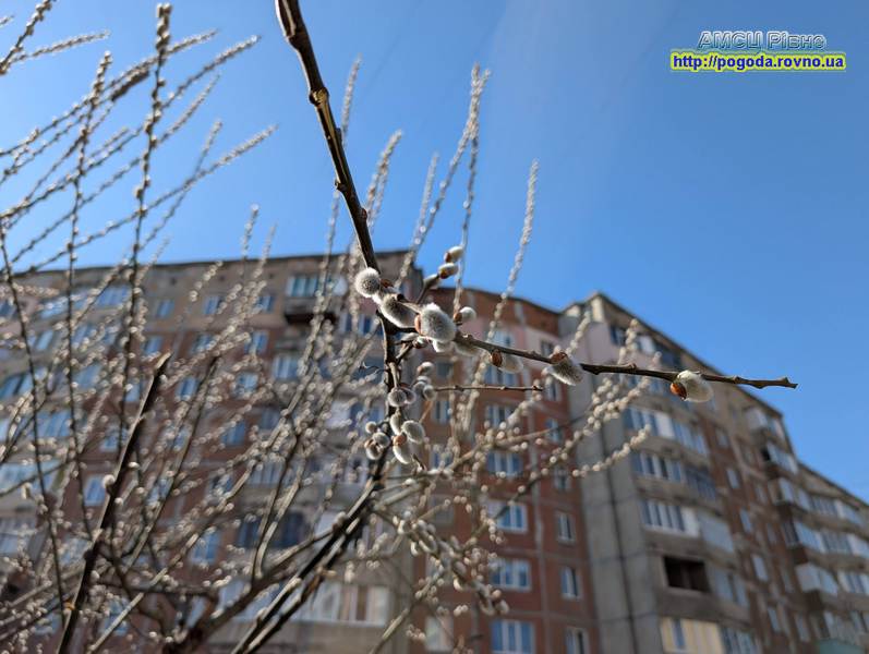 Погода Рівне Погода Рівне