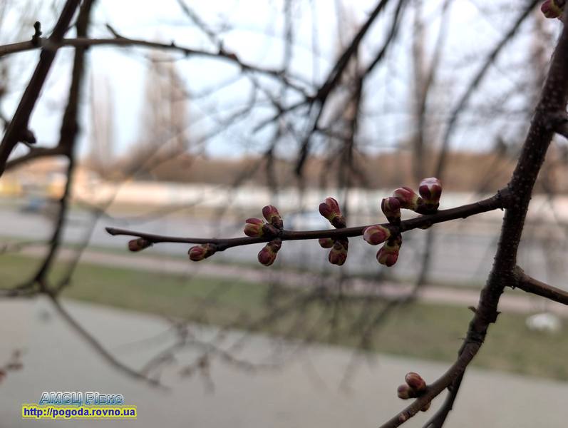Погода Рівне Погода Рівне