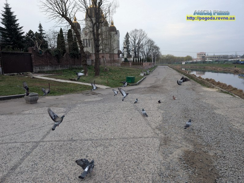 Прогноз погоди по Рівненській області Прогноз погоди по Рівненській області