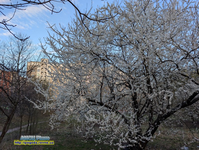 Погода Рівне Погода Рівне