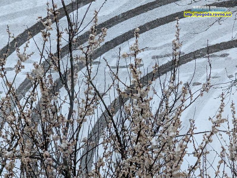 погода Рівне погода Рівне