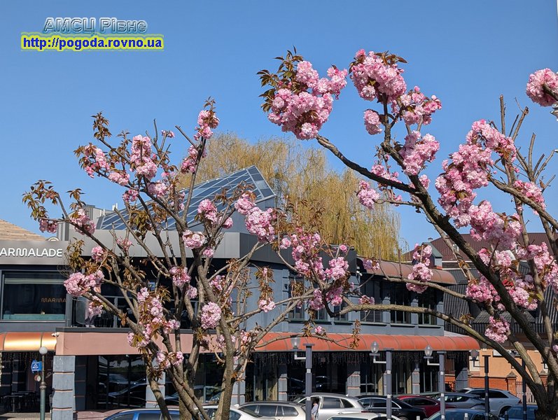 Погода у Рівному Погода у Рівному