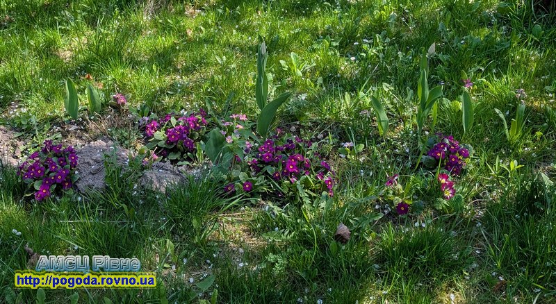 Погода у Рівному Погода у Рівному