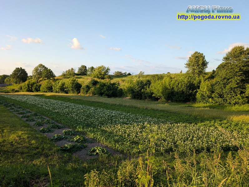 Погода в Рівному Погода в Рівному