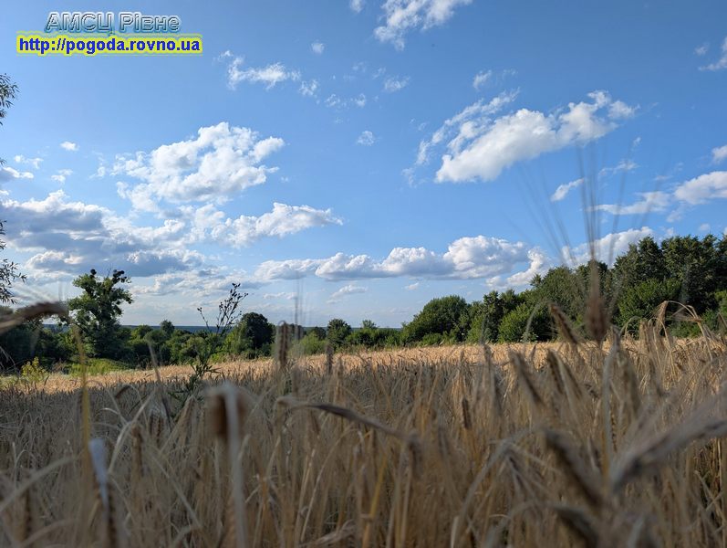 Погода Рівне Погода Рівне