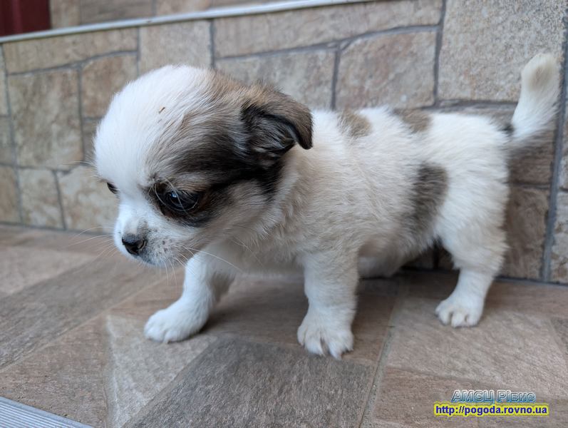 Погода Рівне Погода Рівне