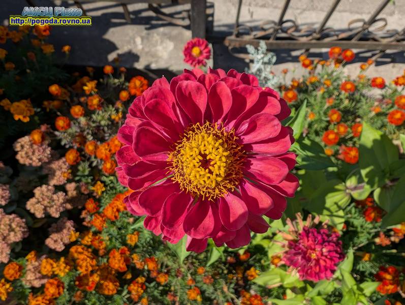 погода Рівне погода Рівне