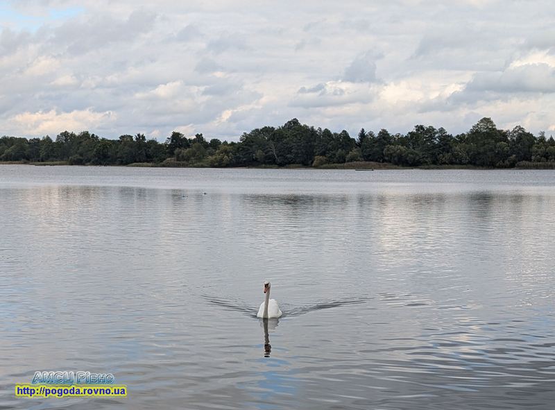 погода Рівне погода Рівне