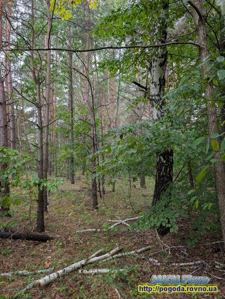 Погода Рівне Погода Рівне
