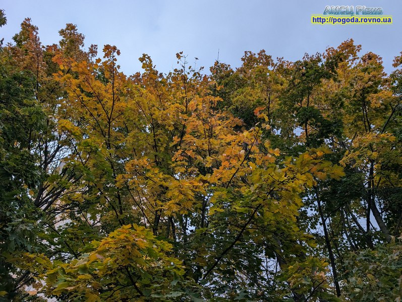 Погода у Рівному Погода у Рівному