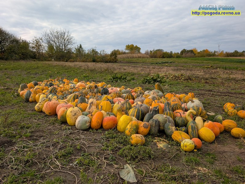 погода Рівне погода Рівне