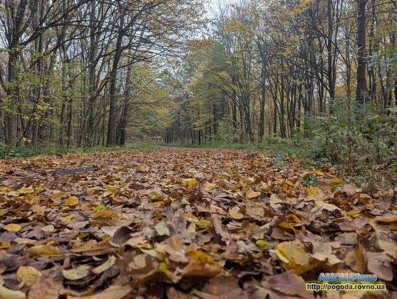 погода Рівне, осінь погода Рівне, осінь