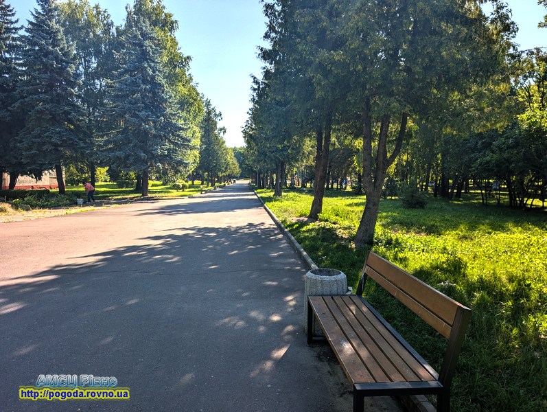 погода Рівне місто Рівне парк Лебединка