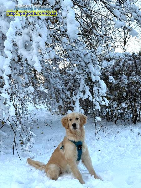 Погода Рівне Погода Рівне