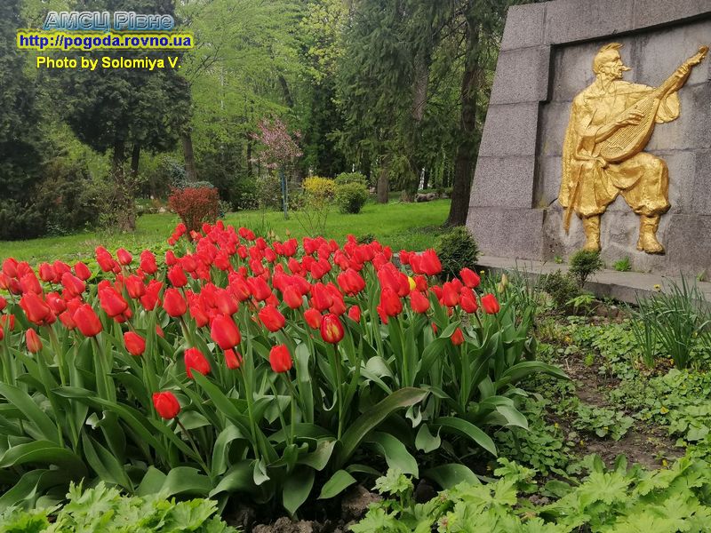 Рівне, парк Шевченка Рівне, парк Шевченка