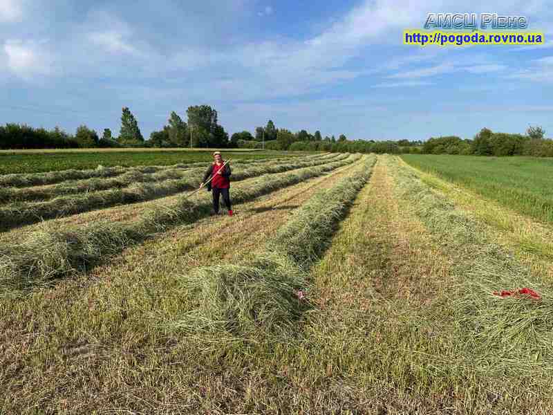 Погода Рівне Погода Рівне