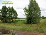 Українське Полісся